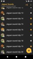 bunyi Jaguar - Appp.io syot layar 3