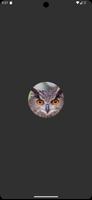 Appp.io - Baykuş Sesler Ekran Görüntüsü 1