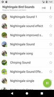 Nightingale Sounds capture d'écran 2