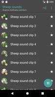 برنامه‌نما Sheep sounds عکس از صفحه