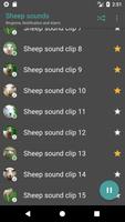 برنامه‌نما Sheep sounds عکس از صفحه