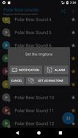 Appp.io - Polar Bear suara screenshot 3
