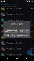 Appp.io - Polar Bear geluiden screenshot 3