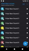 Appp.io - Polar Bear suara screenshot 1