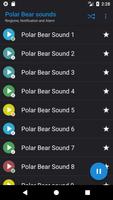 Polar Bear sounds screenshot 1