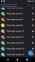 Appp.io - Polar Bear suara screenshot 2
