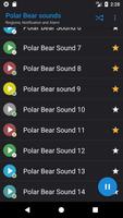 Polar Bear sounds screenshot 2