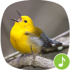 Appp.io - Warbler bird sounds 圖標