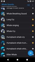 Appp.io - Sounds Whale capture d'écran 3