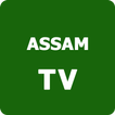 W3 Assam TV icon