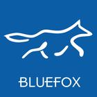BlueFox Count ícone