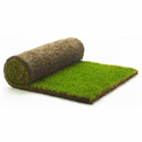 Turf Roll APK