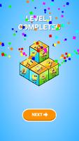 Cubic Conundrum poster