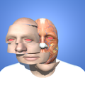 Face Stack