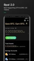 Bpal Wallet постер