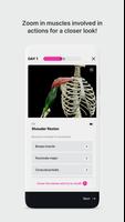 Anatomy Master capture d'écran 2