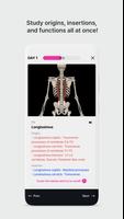 Anatomy Master capture d'écran 3