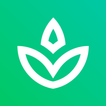 Battery Tool [Root only]