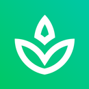 Battery Tool [Root only] APK