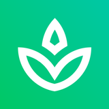 Battery Tool icon