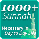 APK 1000 Sunnah - Necessary in Day