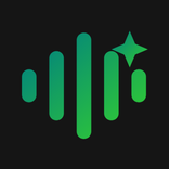 NoiseCleaner: Audio & Video