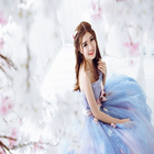 The Substitute Bride icono