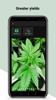 Poster Home Grow Assistant