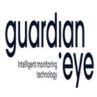 Guardian Eye icon