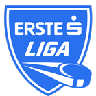 Icona Erste Liga