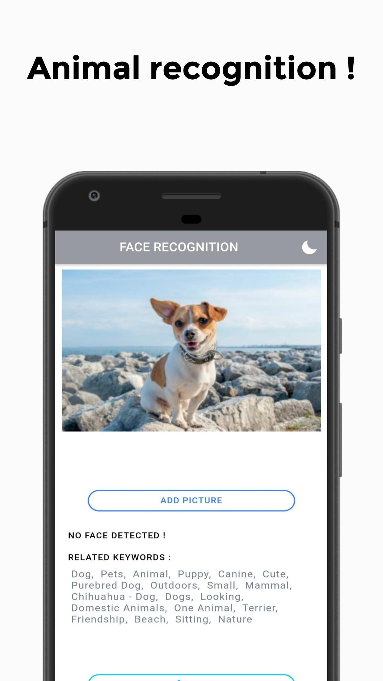 Animal face recognition app. VIN recognition app установка.