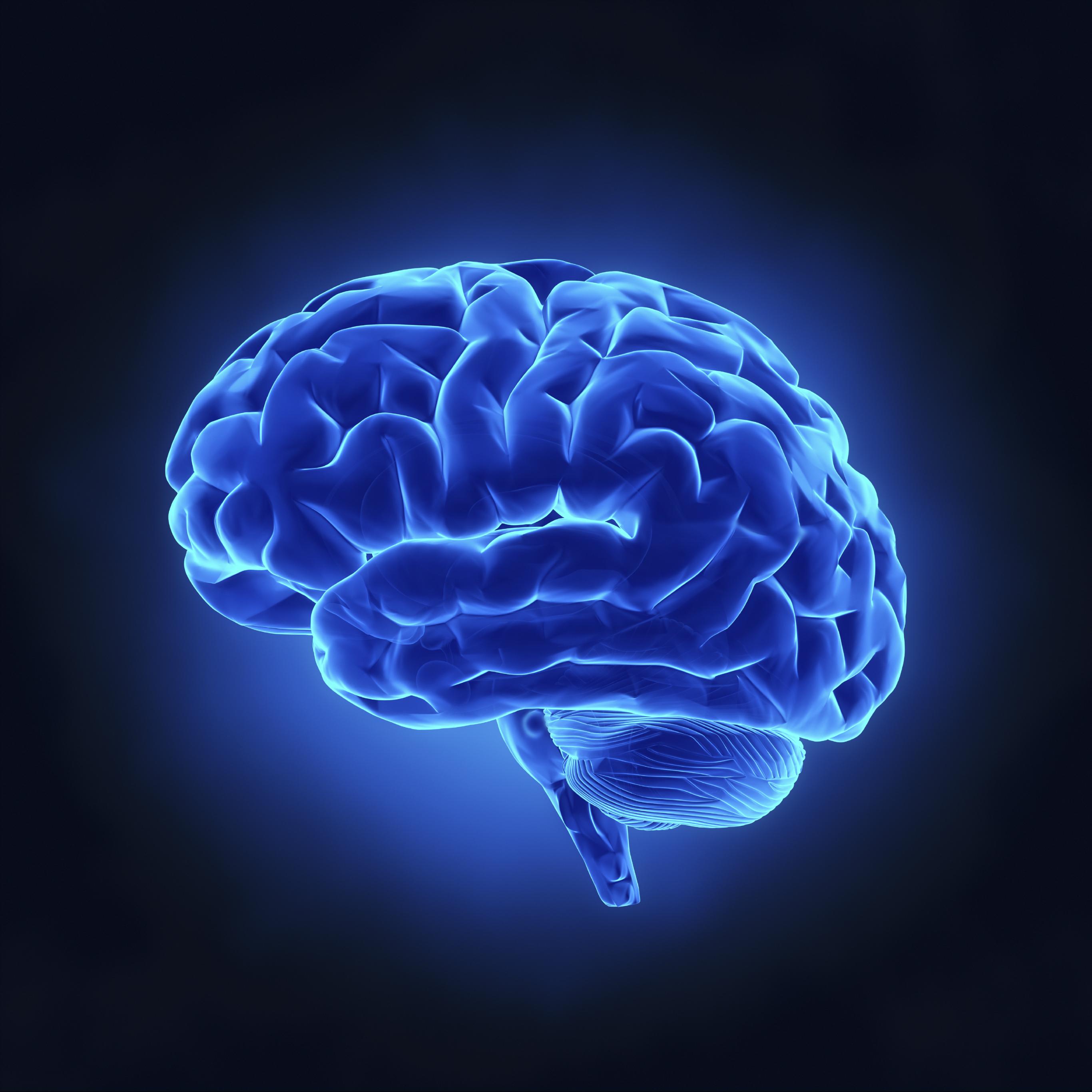 196 brain. Мозжечок мозга. Нейробиология мозга. Мозг на синем фоне.
