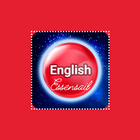 Essential english grammar 아이콘