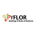 Pyflor آئیکن