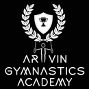 ArtVin Gymnastics Academy APK
