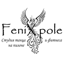 FeniXpole танцы Красноярск APK