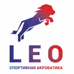 Leo sport club icon