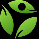 КИНЕТИКА APK