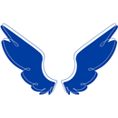 Крылья Pole Dance APK