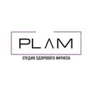 PLAM APK