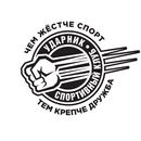 СК Ударник APK