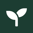 Leafless Cards APK