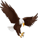 Eagle APK