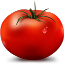 TOMATO APK