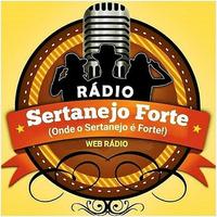 Rádio Sertanejo Forte syot layar 1