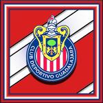 Chivas De Guadalajara pasión icon