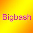 Bigbash icône