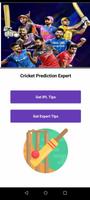 Cricket Tips & Analysis Affiche