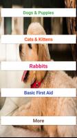 Pet Care ポスター