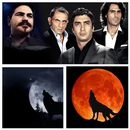 موسيقى مراد علمدار  Murad APK